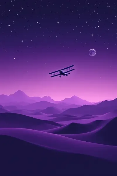 夜航西飞